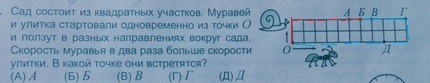 Какое расстояние проползает улитка. Скорость муравья. Скорость муравья м/с. Скорость муравья км/ч. Скорость передвижения муравья.