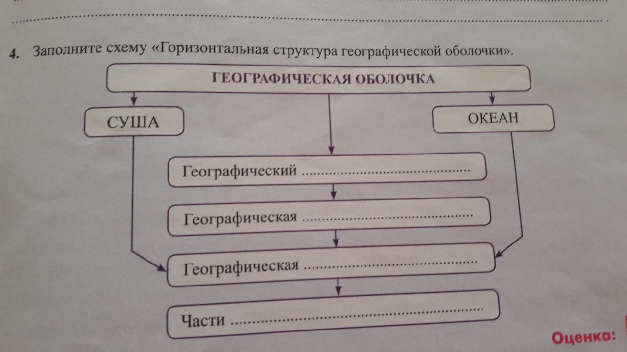 Заполните схему ответ. Структура географии схема. Состав МСК география схема. Заполните схему структура географии. Заполните схему географическая оболочка.