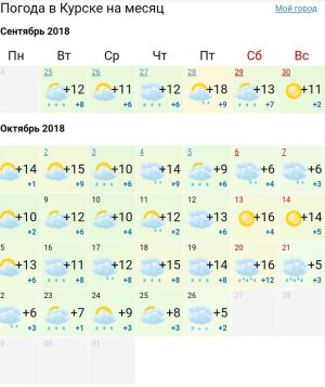 Погода в курской на 14 дней